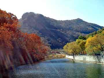 调教由奈剧情介绍（调教是个啥）